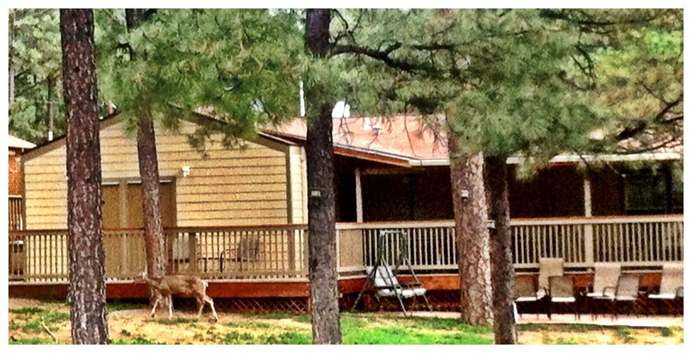 Village Lodge Ruidoso Bagian luar foto